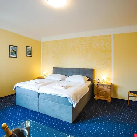 Altstadt Hotel 3*