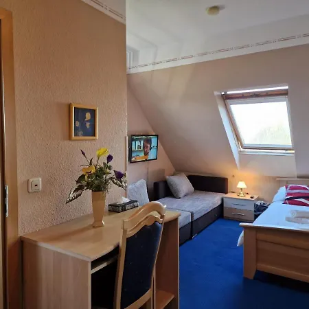 ホテル Altstadt 3*