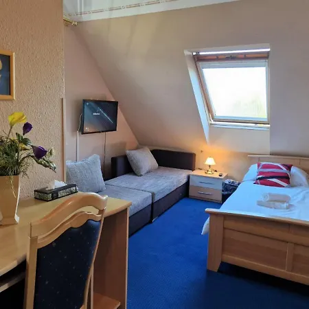 Hotel Altstadt 3*