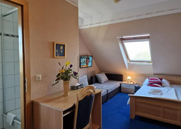 ホテル Altstadt 3*